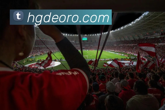 奖项3